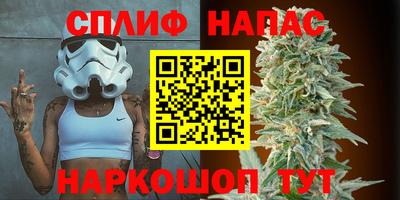 шишки Абакан