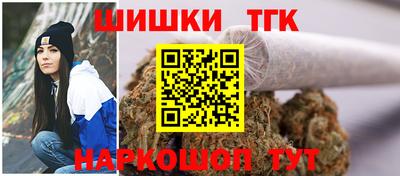 шишки Абакан