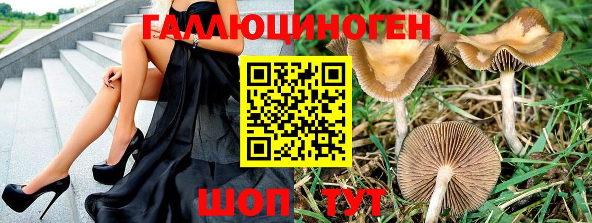 Галлюциногенные грибы Cubensis  Галлюциногенные грибы прущие грибы  Алейск  Вход с VPN 